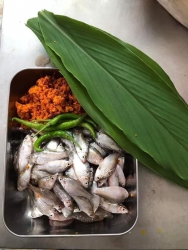 Nồi cá kho nghệ sáng mai tươi nhớt cá cấn sông nhỏ ngon lắm tại Quảng Nam