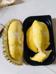 Lên đơn hàng sẵn ạ tại Quảng Nam