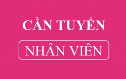 Quán Mì cay Naga Viper cần tuyển nhân viên phục vụ ca tối tại Quảng Nam