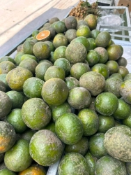 5kg tại Quảng Nam