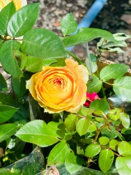 Công ty TNHH Tư vấn Thiết kế Đầu tư Xây dựng 79Design tại Quảng Nam