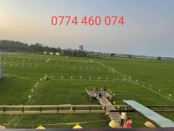 Siêu phẩm block 5 lô View Lúa, phường Trường Xuân, Tam Kỳ tại Quảng Nam