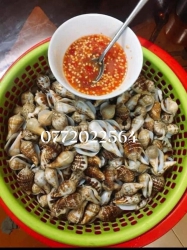  tại Quảng Nam