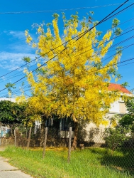Chào bán lô đất sát lộ, gần trung tâm hành chính Thị Xã Điện Bàn tại Quảng Nam