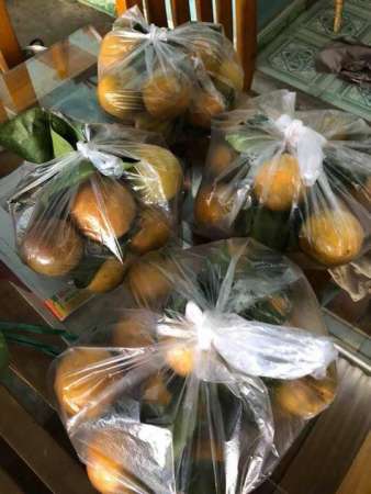 Bán Cam Vinh ở tại Vĩnh Điện tại Quảng Nam