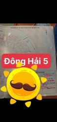 n lô đất biển Tân Trà, Đông Hải 5 tại Quảng Nam