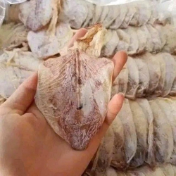 Mực cơm dày ngọt ngon tại Quảng Nam