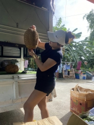 Trúng mánh rồi khách ơi, lô sầu riêng rụng sáng nay về trái to lắm lun tại Quảng Nam