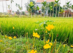 Đất phường ĐIỆN MINH gần quốc lộ tại Quảng Nam