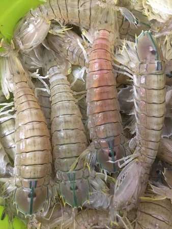 Thông báo với cả nhà mình là đầu chiều mai hàng có mặt tại nhà e nha tại Quảng Nam