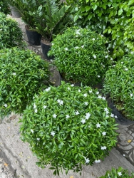  tại Quảng Nam