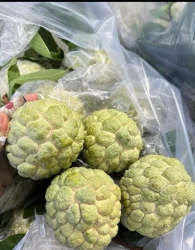 Nay 13 âm rồi khách ơi, lên đơn em giao luôn nhà tại Quảng Nam