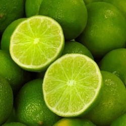 Chanh không hạt e mới về cây đẹp sum xuê đang hoa và trái non như hình tại Quảng Nam