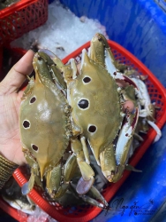 Không muốn bếp thành tại Quảng Nam