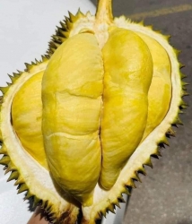 Menu món ngon hộp đơn thứ 5 tại Quảng Nam