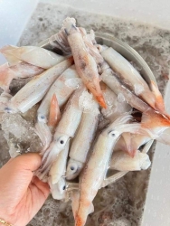  tại Quảng Nam