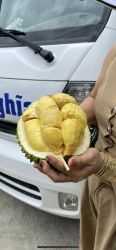 o Đơn Sớm, Miễn Phí Vận Chuyển tại Quảng Nam