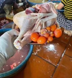 Đang sip bi huy 5, ga to ngon ạLên don e sip tại Quảng Nam