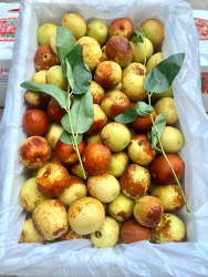  rẻ 120k/kg tại Quảng Nam