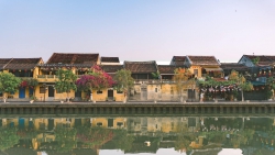 Cho Con 42 triệu chi bằng Cho 1 Cuốn Sổ Hồng thơm phức 154m2 Đất trồng cây tại Quảng Nam