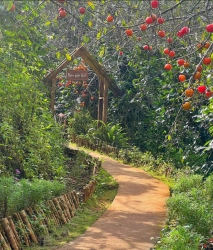 Chủ cần bán đất ở đô thị tại Quảng Nam