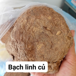 Mới về lô hàng đẹp xuất sắc luôn tại Quảng Nam
