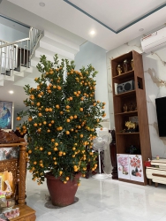 n trước tết tại Quảng Nam