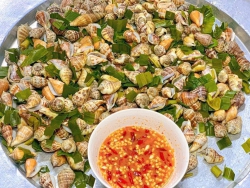 SẴN ỐCC tại Quảng Nam