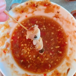 Ốc ngày mai siêu ngon ngọt tại Quảng Nam