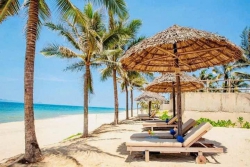 n lô Đất trồng cây biển Bình Dương Thăng Bình Quảng Nam tại Quảng Nam