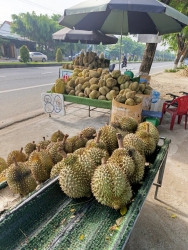 Tri ân cuối tuần tại Quảng Nam