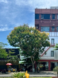 Bán đất tại Nguyễn Tất Thành, Xuân Hà, Thanh Khê tại Quảng Nam
