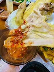 Lò mới làm xong đàn gà kiến tại Quảng Nam