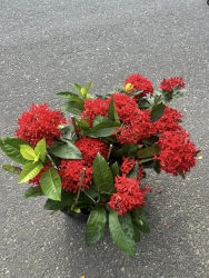 79DESIGN THIẾT KẾ VÀ TƯ VẤN XÂY DỰNG tại Quảng Nam