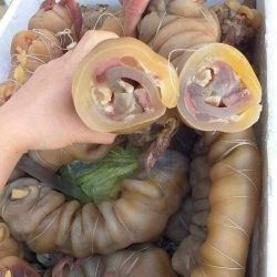 VÓ BÒ (chân bò rút xương) tại Quảng Nam
