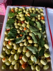  tại Quảng Nam