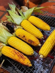 Bán bắp Mỹ ngon ngọt, giá sốc chỉ 55k/10 bắp tại Quảng Nam