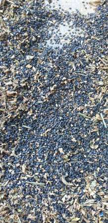 Mè đen nhà trồng đây mọi người ơi. tại Quảng Nam