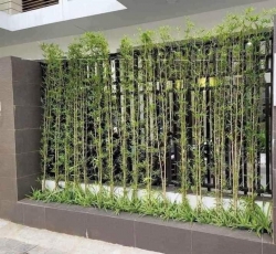 Sự lựa chọn cho hành lang xanh tại Quảng Nam