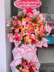 Chiều nay Trung Tâm Can Thiệp - Hỗ Trợ Phát Triển Giáo Dục Hòa Nhập KHAI PHÓNG chính thức đi vào hoạt động tại Quảng Nam