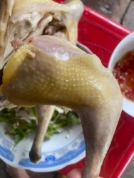 E san ạ Lên đơn không hết ạ tại Quảng Nam