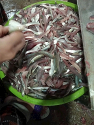 Gỏi Cá Lam Ngoc - Sản phẩm Tươi Ngon tại Quảng Nam