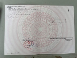 Đường 7m5 Rẻ Nhất Nam Cẩm Lệ tại Quảng Nam
