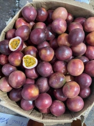 Mận hậu 35k/2kg, Cam sành 69k/5kg, Mít thái 59k/3kg, Chanh dây 20k/1kg, Hành lý sơn 40k, Tỏi tím to 50k, Nén 60k/1kg tại Quảng Nam