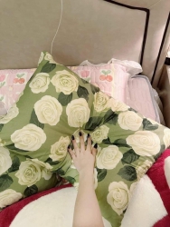 Nhà em có 2 loại gối này tại Quảng Nam