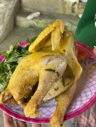 Gà thả vườn tươi ngon tại Quảng Nam