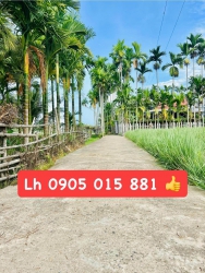 Bán đất Phường Điện An, diện tích rộng 6x39m, cơ hội đầu tư tại Quảng Nam