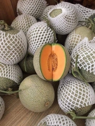 Bán dưa lưới tròn ngọt lịm tại Quảng Nam