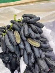 ch gộp đơn nhìu món mai e giao lun nha tại Quảng Nam