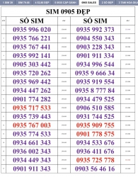 n Sim số đẹp và dịch vụ liên quan tại Quảng Nam